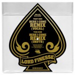 Tour Vinyl Side B 150x150 Lord Finesse Merchandise
