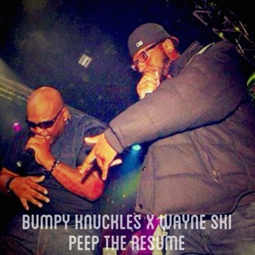 ptr Bumpy Knuckles   Peep The Resume