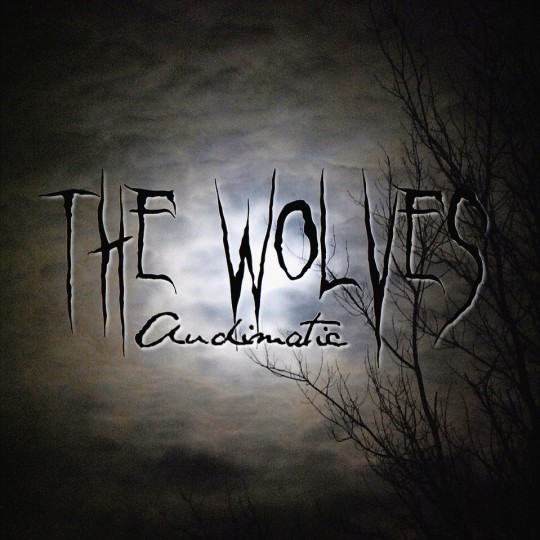 TheWolvesCover 540x540 Audimatic   The Wolves