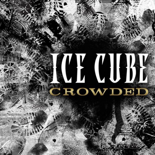 Ice Cube Crowded ice cube crowded 500x500 Ice Cube Crowded