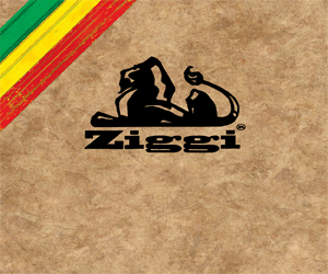 Ziggi papers